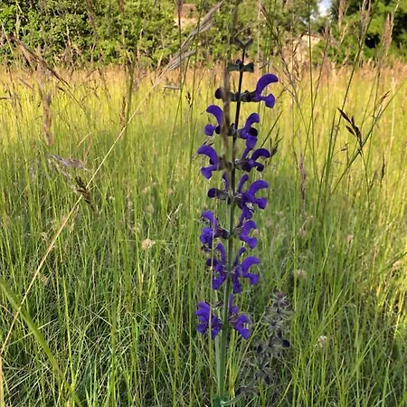 Hébergement de vacances Calme Et Tranquillité *